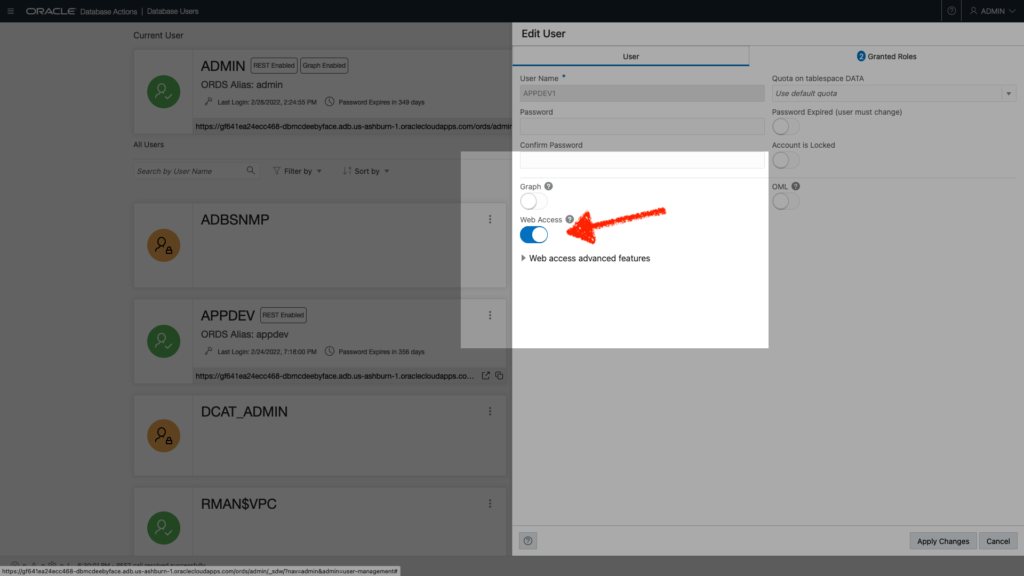 Toggling the Web Access switch will automatically grant the user the CONNECT and RESOURCE roles.