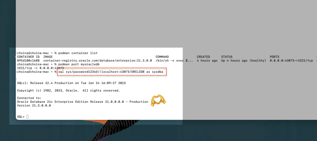 connecting via sqlcl to podman container, Chris Hoina, Senior Product Manager, ords, Database Tools, Oracle Database