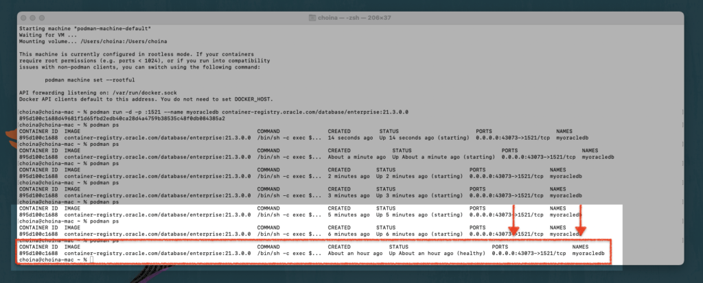 container is now healthy, Chris Hoina, Senior Product Manager, ords, Database Tools, Oracle Database   