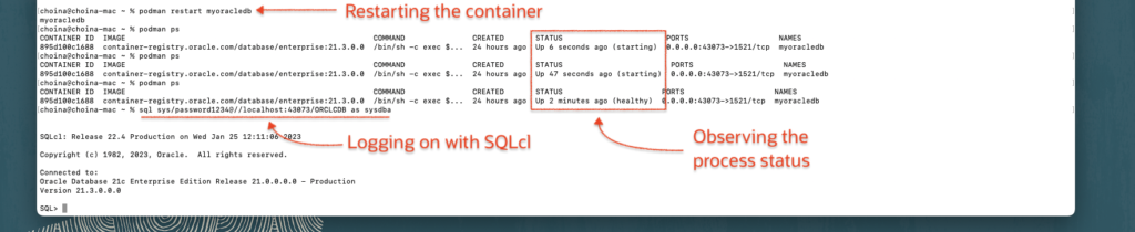 restarting the podman container, chris hoina, senior product manager, oracle database tools, oracle cloud, ords, oracle rest apis, sql developer, podman, sqlcl  