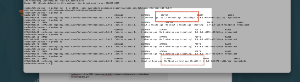 starting container and healthy status, Container has been created, and is starting, Chris Hoina, Senior Product Manager, ords, Database Tools, Oracle Database   